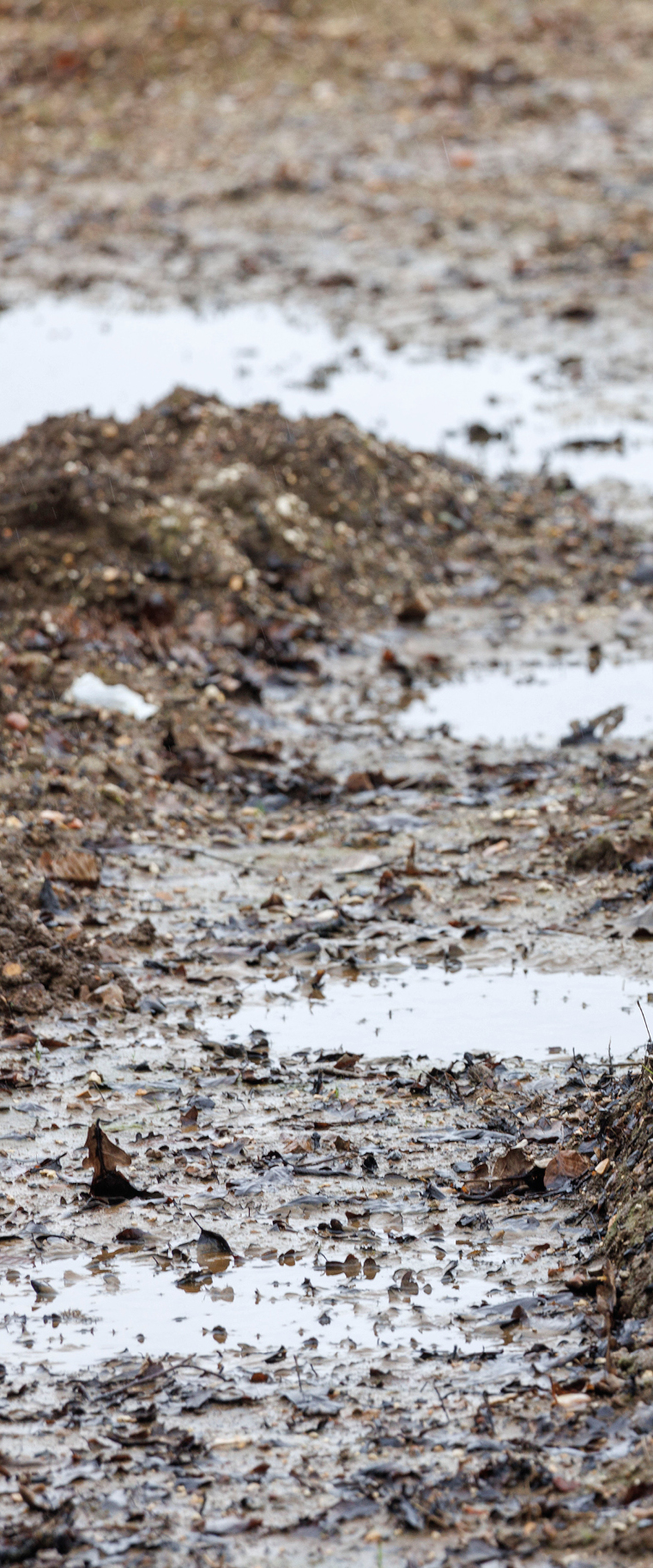 heavy bare soil with puddles in it
