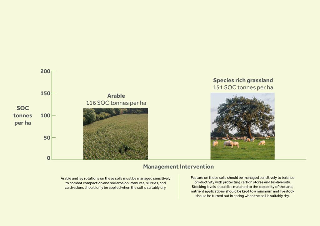 Arable.
116 SOC tonnes per ha.
Arable and ley rotations on these soils must be managed sensitively to combat compaction and soil erosion. Manures, slurries, and cultivations should only be applied when the soil is suitably dry.
Species rich grassland.
151 SOC tonnes per ha.
Pasture on these soils should be managed sensitively to balance
productivity with protecting carbon stores and biodiversity. Stocking levels should be matched to the capability of the land, nutrient applications should be kept to a minimum and livestock should be turned out in spring when the soil is suitably dry.

