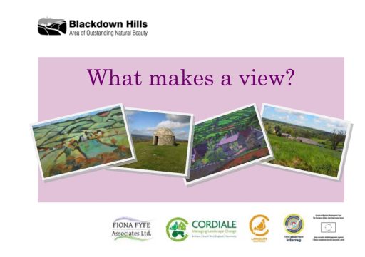 What makes a view. Document cover