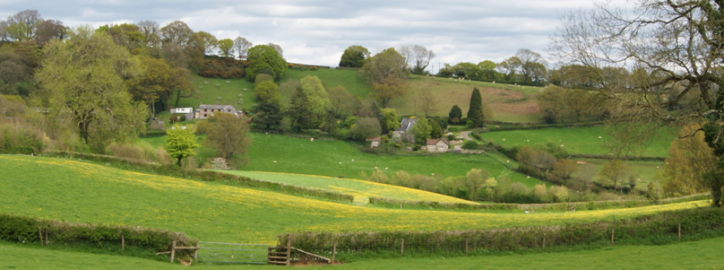 Green fields and hedge rows and Dennings Down Farmhouse