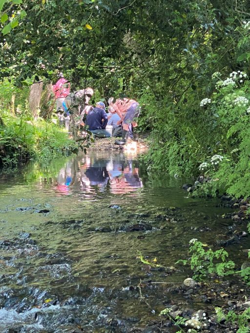 A group of people wading in a stream with buckets examining the water.