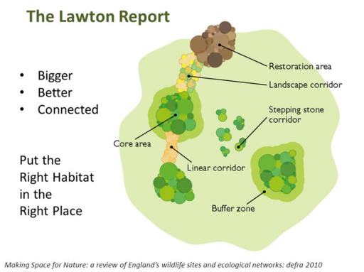 Diagram showing the Lawton Report guidance for connecting habitats