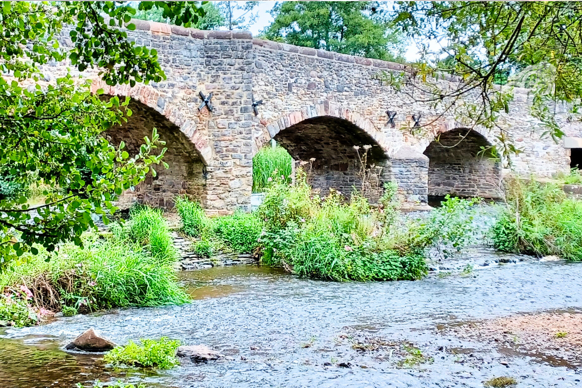 The River Culm at Culmstock bridge