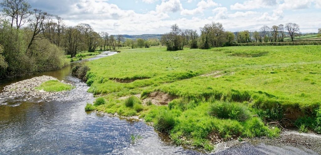 River Yarty meandering through a field.