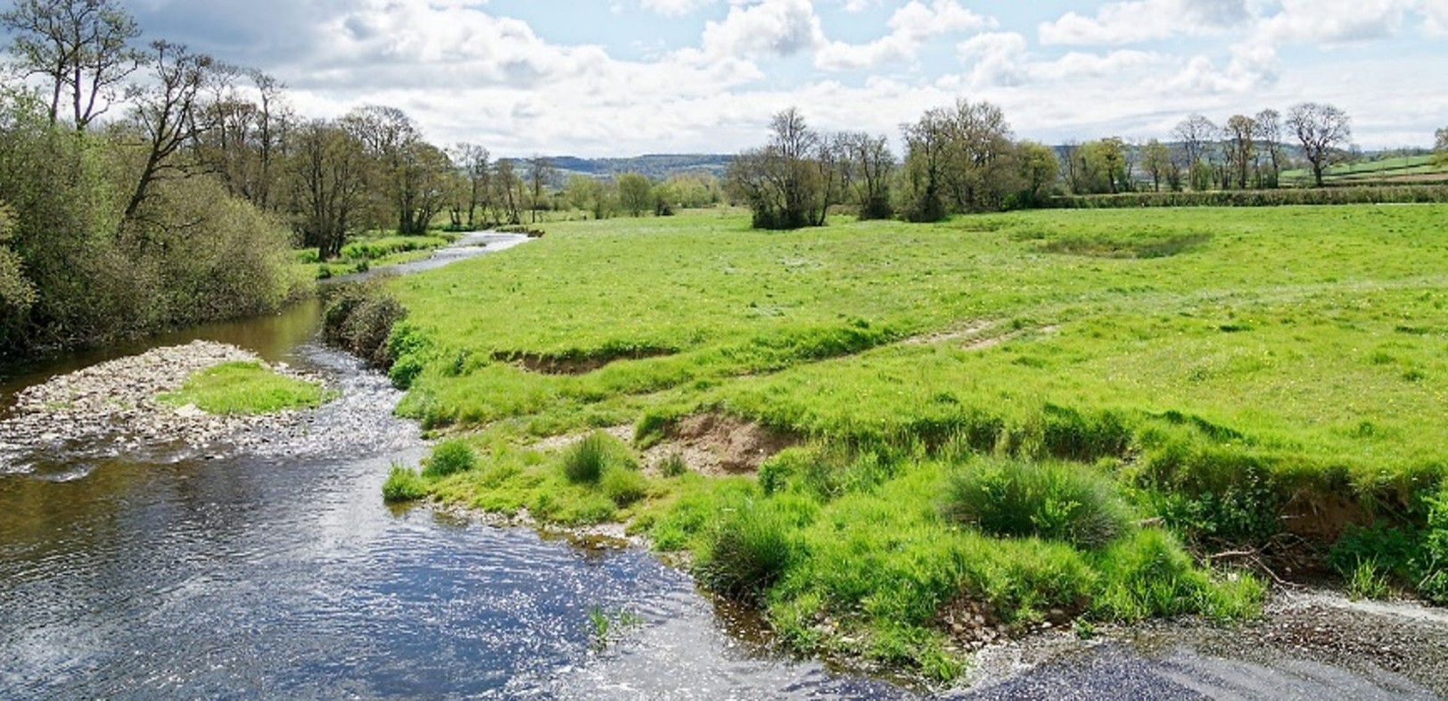 River Yarty meandering through a field.