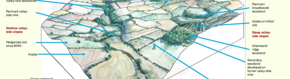 nature-recovery-plan-visualisations - Blackdown Hills National Landscape